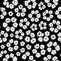 D.Tears Graphics