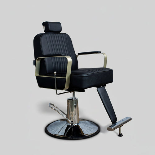 Berkeley Hudson All Purpose Salon Chair