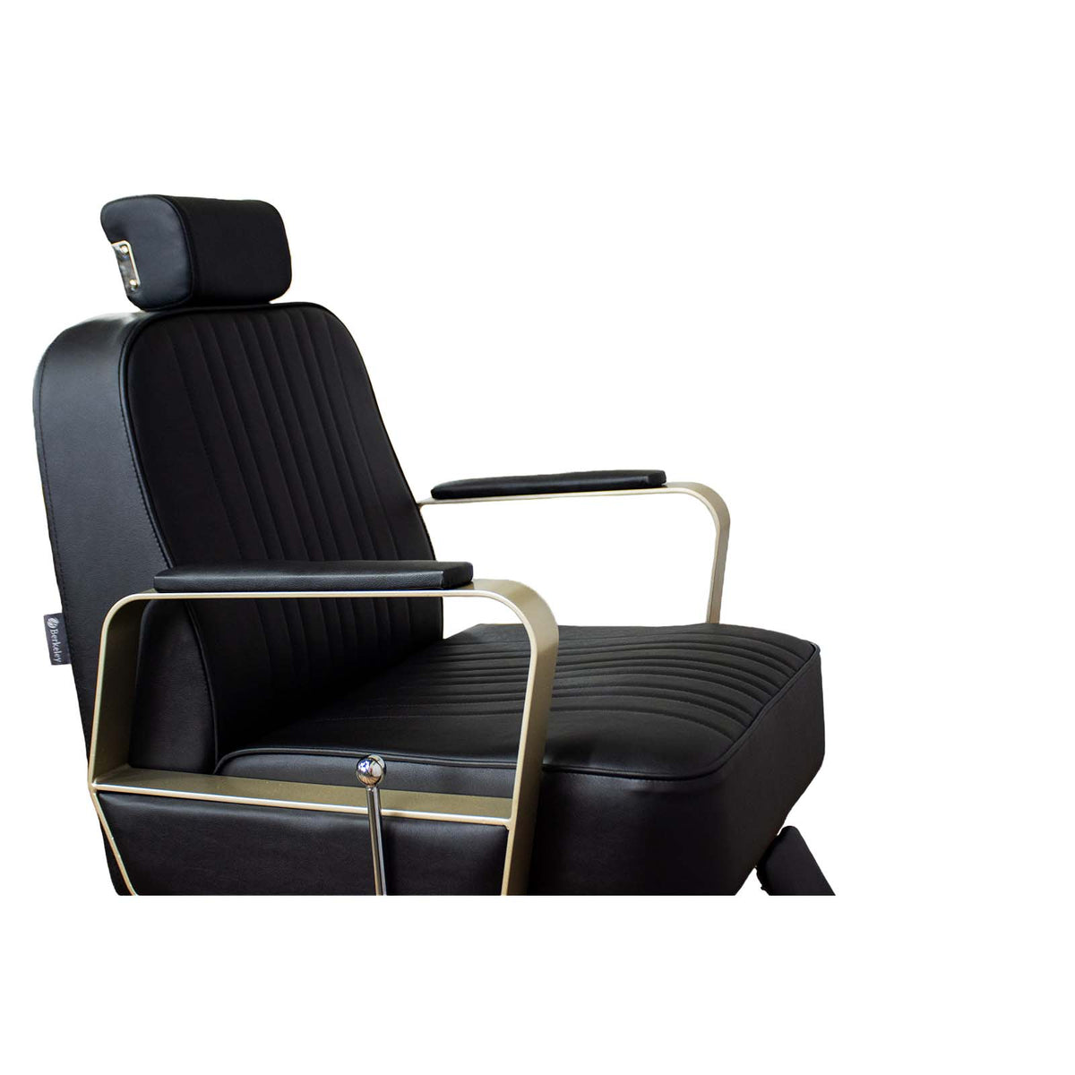 Hudson All Purpose Salon Chair