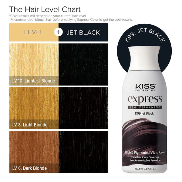 Kiss Express Semi-Permanent Hair Color 3.5oz